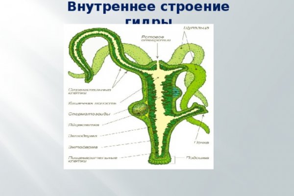 Кракен ссылка стор